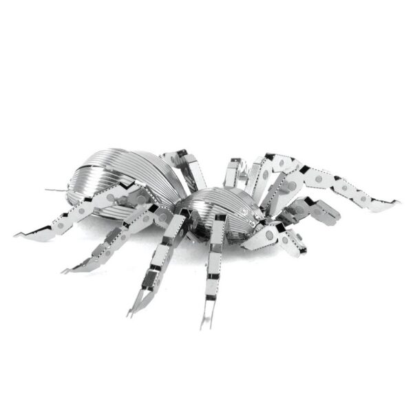 TARÁNTULA